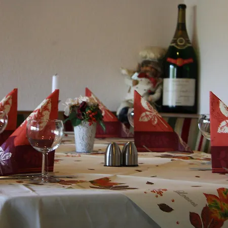Hotel Haus Salzberg garni-2